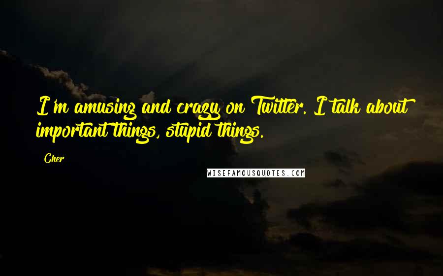 Cher Quotes: I'm amusing and crazy on Twitter. I talk about important things, stupid things.