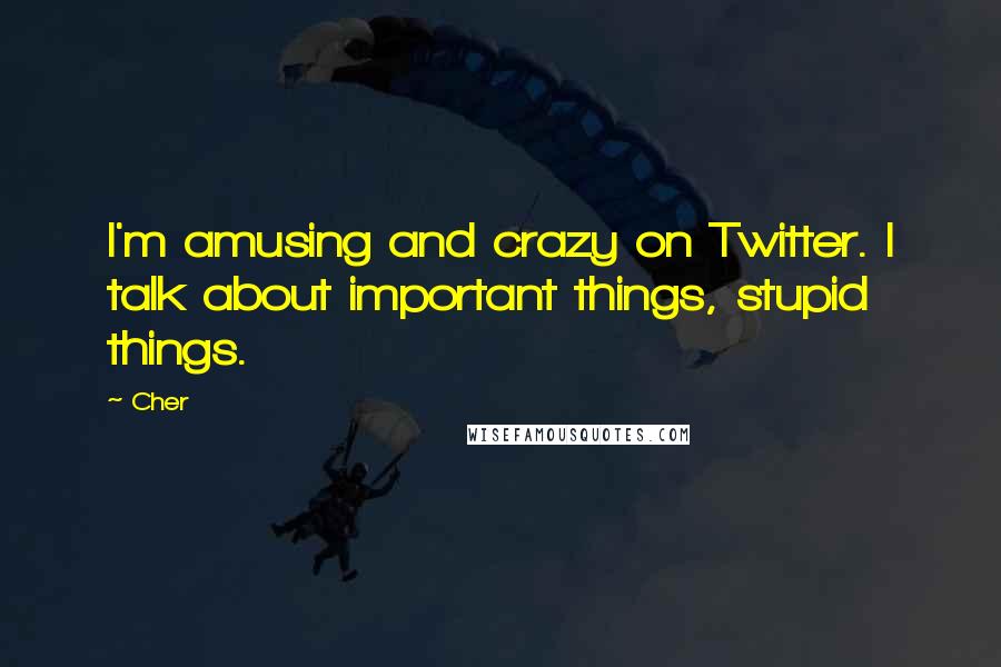 Cher Quotes: I'm amusing and crazy on Twitter. I talk about important things, stupid things.