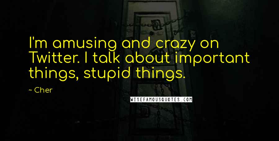 Cher Quotes: I'm amusing and crazy on Twitter. I talk about important things, stupid things.