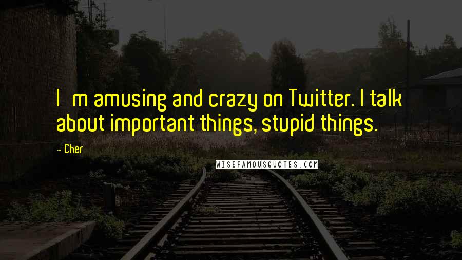 Cher Quotes: I'm amusing and crazy on Twitter. I talk about important things, stupid things.