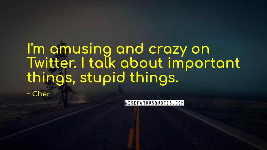 Cher Quotes: I'm amusing and crazy on Twitter. I talk about important things, stupid things.