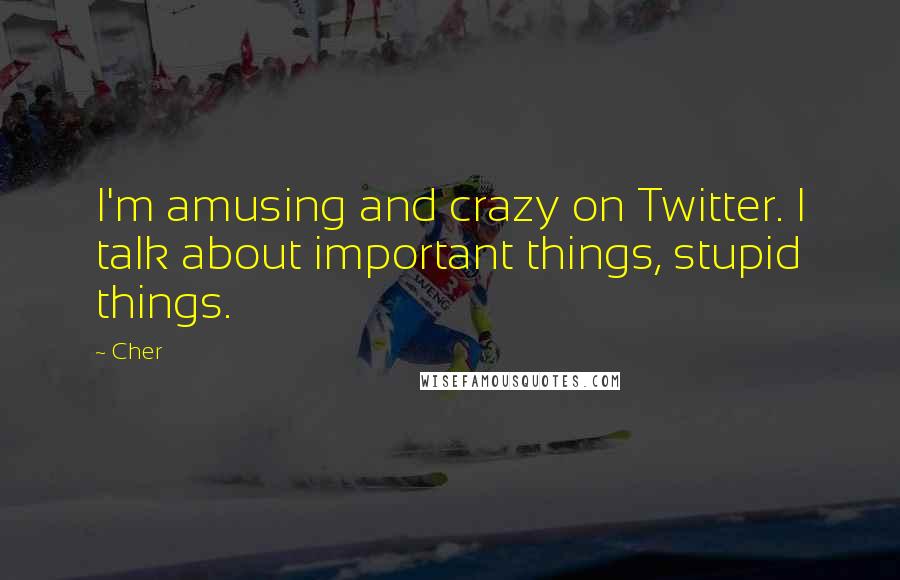 Cher Quotes: I'm amusing and crazy on Twitter. I talk about important things, stupid things.