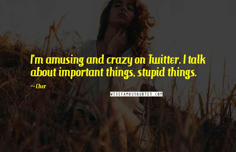 Cher Quotes: I'm amusing and crazy on Twitter. I talk about important things, stupid things.