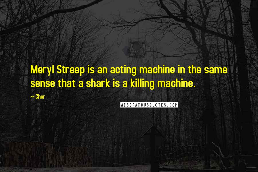 Cher Quotes: Meryl Streep is an acting machine in the same sense that a shark is a killing machine.