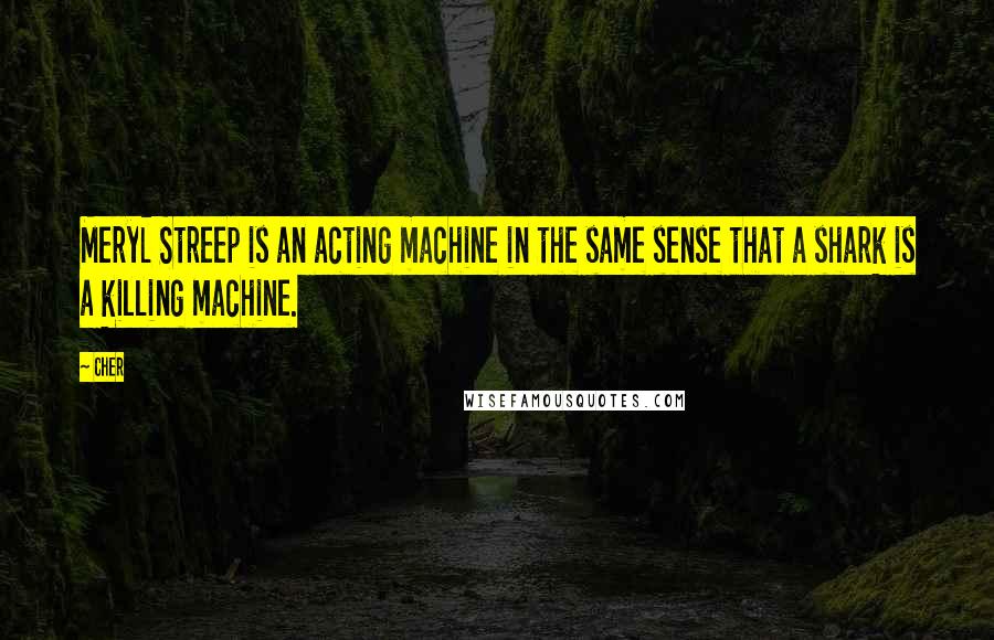 Cher Quotes: Meryl Streep is an acting machine in the same sense that a shark is a killing machine.