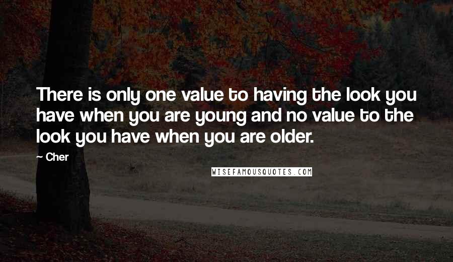 Cher Quotes: There is only one value to having the look you have when you are young and no value to the look you have when you are older.