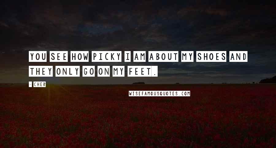 Cher Quotes: You see how picky I am about my shoes and they only go on my feet.