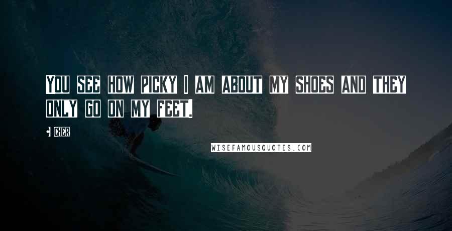 Cher Quotes: You see how picky I am about my shoes and they only go on my feet.