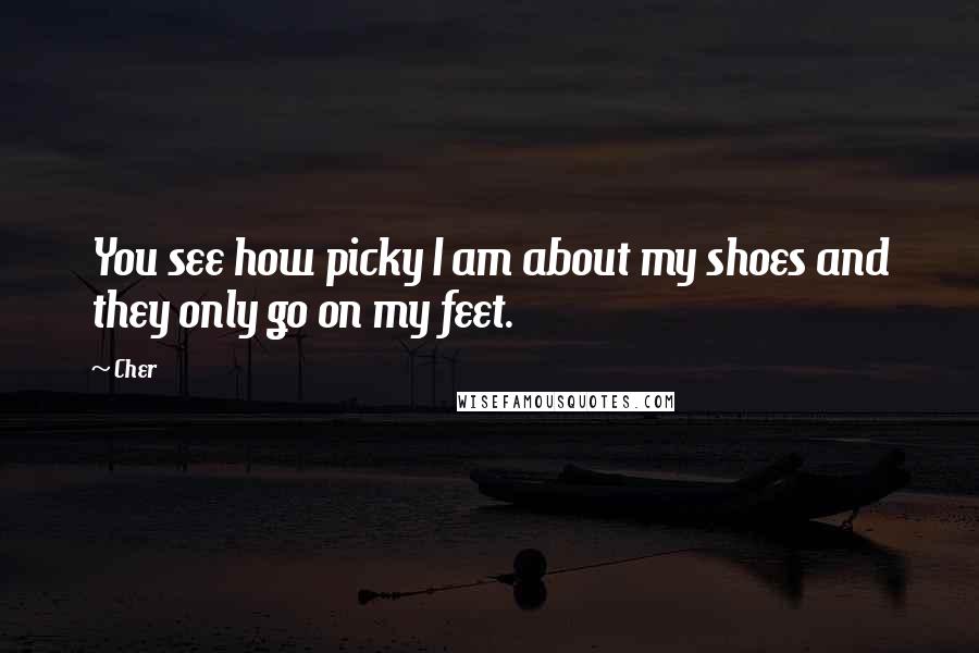 Cher Quotes: You see how picky I am about my shoes and they only go on my feet.