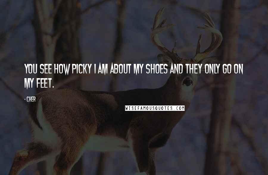 Cher Quotes: You see how picky I am about my shoes and they only go on my feet.
