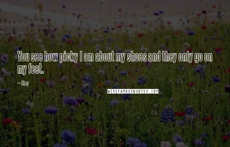 Cher Quotes: You see how picky I am about my shoes and they only go on my feet.
