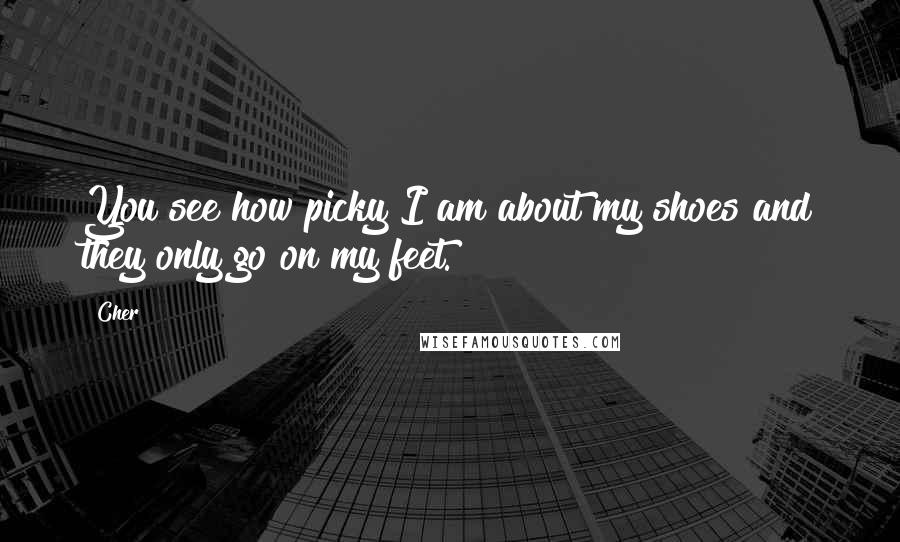 Cher Quotes: You see how picky I am about my shoes and they only go on my feet.