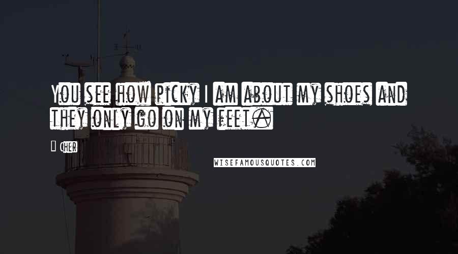 Cher Quotes: You see how picky I am about my shoes and they only go on my feet.