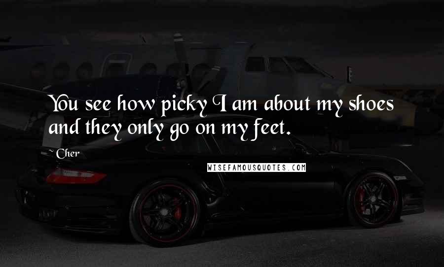Cher Quotes: You see how picky I am about my shoes and they only go on my feet.