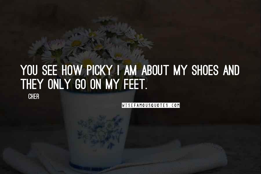Cher Quotes: You see how picky I am about my shoes and they only go on my feet.