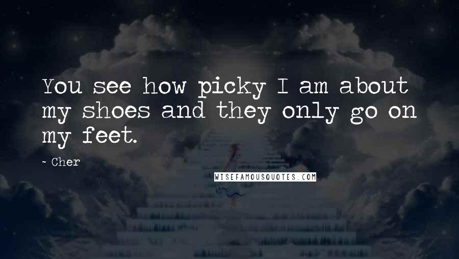 Cher Quotes: You see how picky I am about my shoes and they only go on my feet.