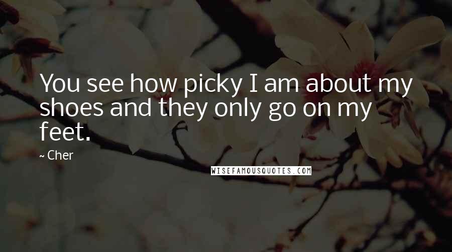 Cher Quotes: You see how picky I am about my shoes and they only go on my feet.