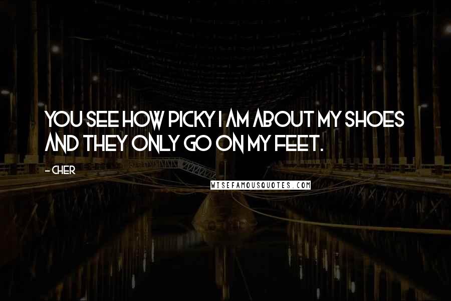 Cher Quotes: You see how picky I am about my shoes and they only go on my feet.
