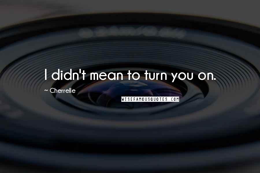Cherrelle Quotes: I didn't mean to turn you on.