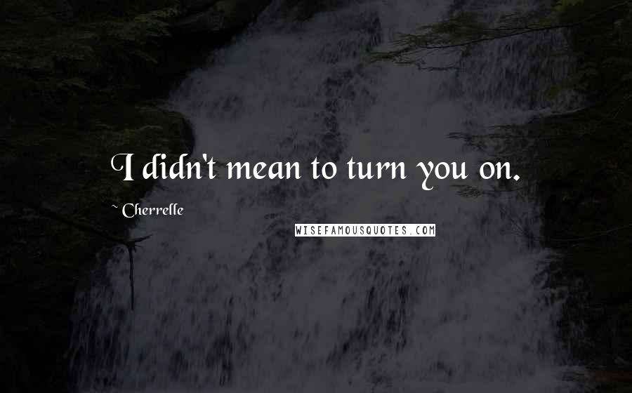 Cherrelle Quotes: I didn't mean to turn you on.