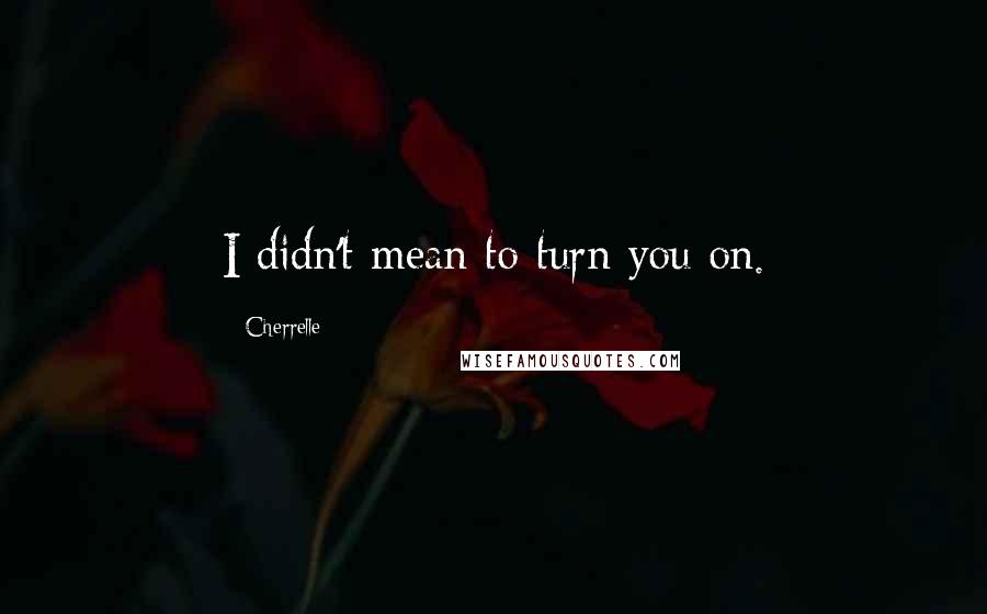 Cherrelle Quotes: I didn't mean to turn you on.