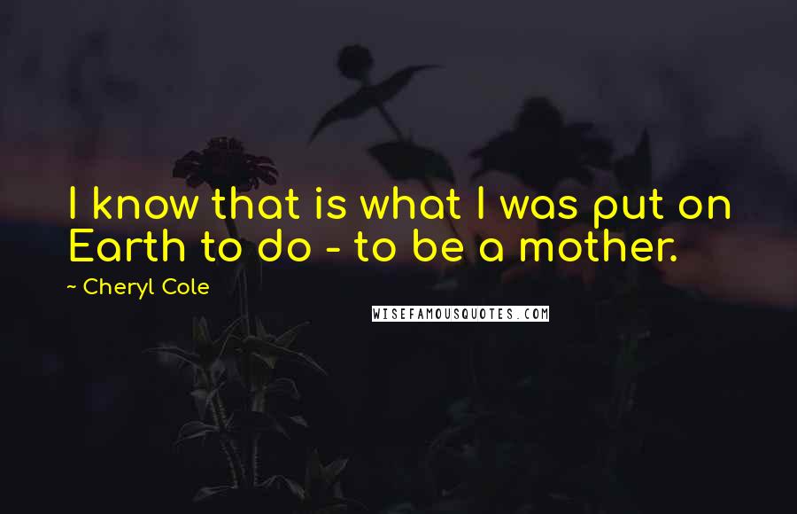 Cheryl Cole Quotes: I know that is what I was put on Earth to do - to be a mother.
