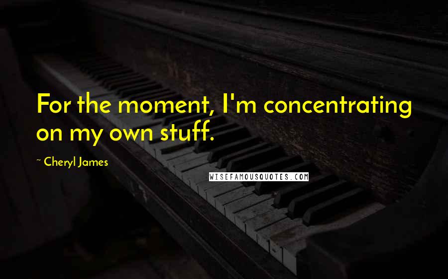 Cheryl James Quotes: For the moment, I'm concentrating on my own stuff.