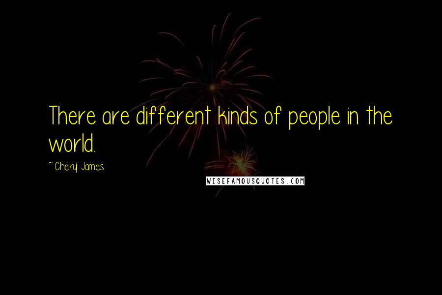 Cheryl James Quotes: There are different kinds of people in the world.