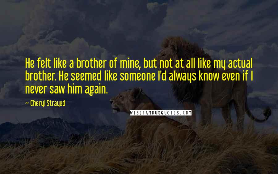 Cheryl Strayed Quotes: He felt like a brother of mine, but not at all like my actual brother. He seemed like someone I'd always know even if I never saw him again.