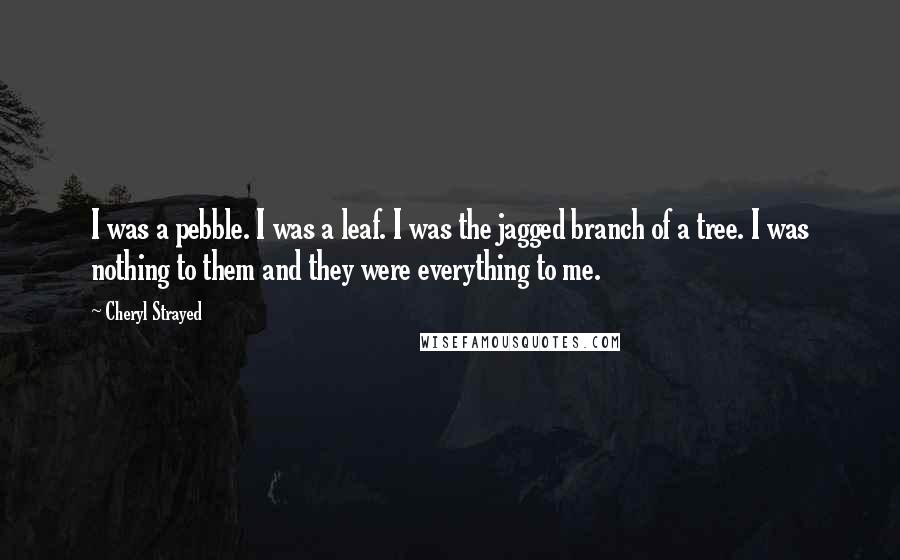 Cheryl Strayed Quotes: I was a pebble. I was a leaf. I was the jagged branch of a tree. I was nothing to them and they were everything to me.