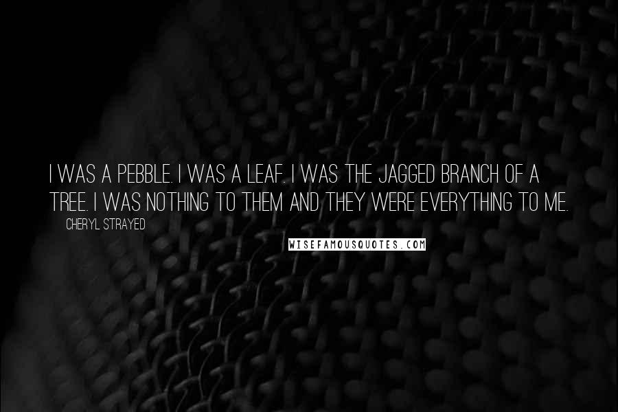 Cheryl Strayed Quotes: I was a pebble. I was a leaf. I was the jagged branch of a tree. I was nothing to them and they were everything to me.