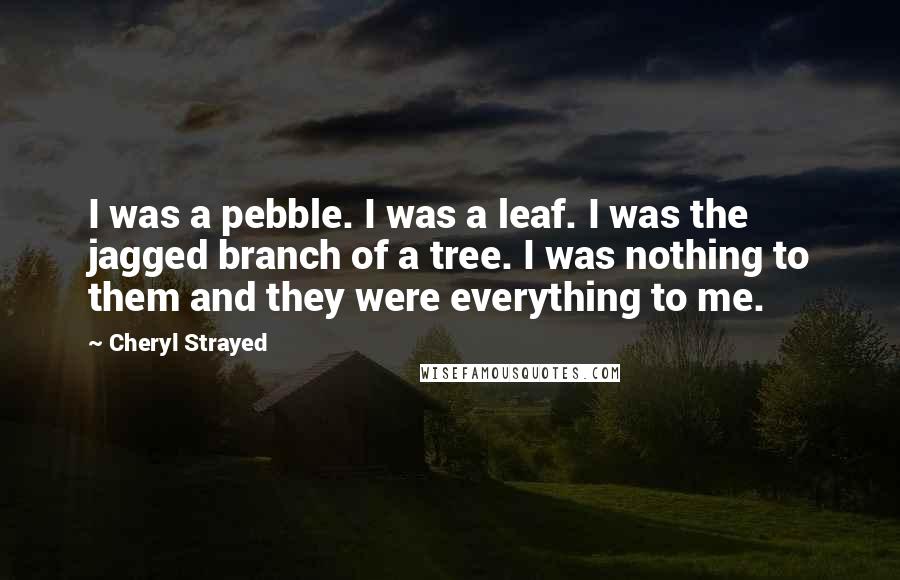 Cheryl Strayed Quotes: I was a pebble. I was a leaf. I was the jagged branch of a tree. I was nothing to them and they were everything to me.