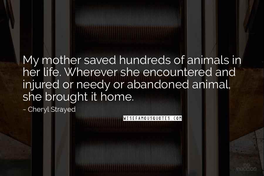 Cheryl Strayed Quotes: My mother saved hundreds of animals in her life. Wherever she encountered and injured or needy or abandoned animal, she brought it home.