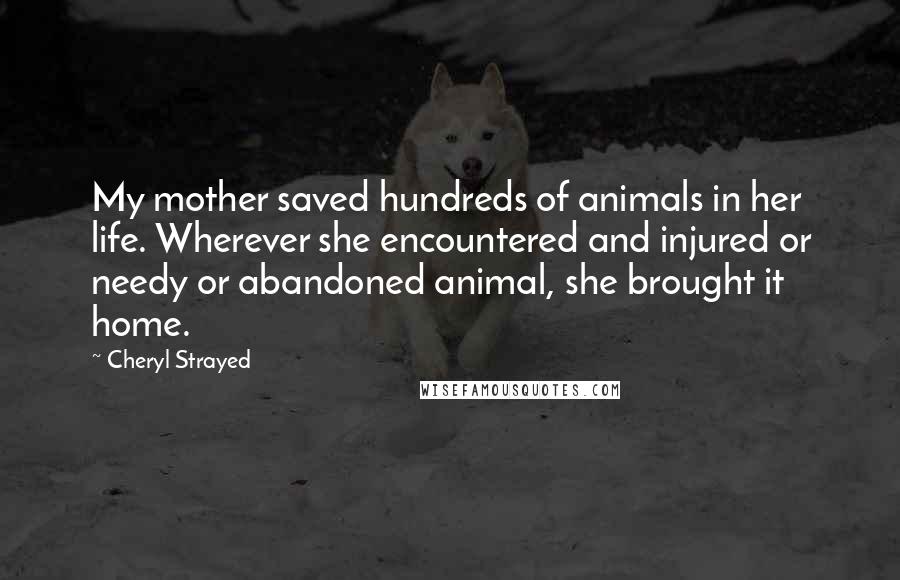 Cheryl Strayed Quotes: My mother saved hundreds of animals in her life. Wherever she encountered and injured or needy or abandoned animal, she brought it home.