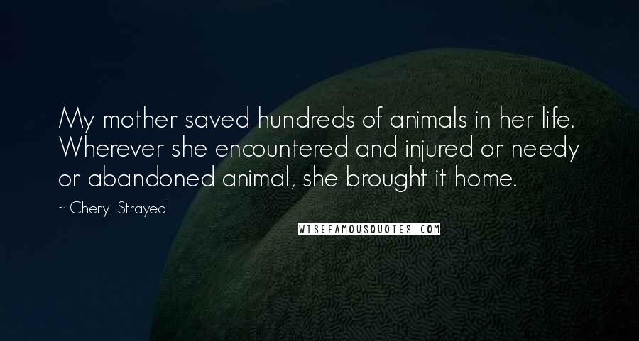 Cheryl Strayed Quotes: My mother saved hundreds of animals in her life. Wherever she encountered and injured or needy or abandoned animal, she brought it home.