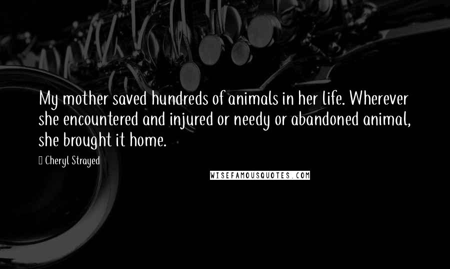 Cheryl Strayed Quotes: My mother saved hundreds of animals in her life. Wherever she encountered and injured or needy or abandoned animal, she brought it home.