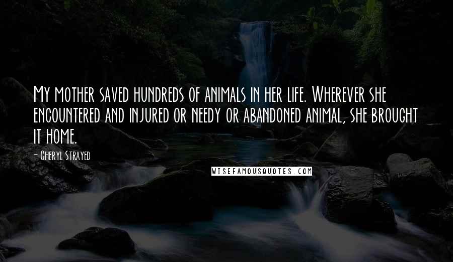 Cheryl Strayed Quotes: My mother saved hundreds of animals in her life. Wherever she encountered and injured or needy or abandoned animal, she brought it home.