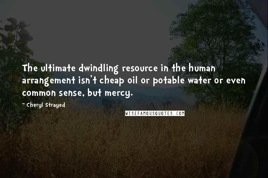 Cheryl Strayed Quotes: The ultimate dwindling resource in the human arrangement isn't cheap oil or potable water or even common sense, but mercy.