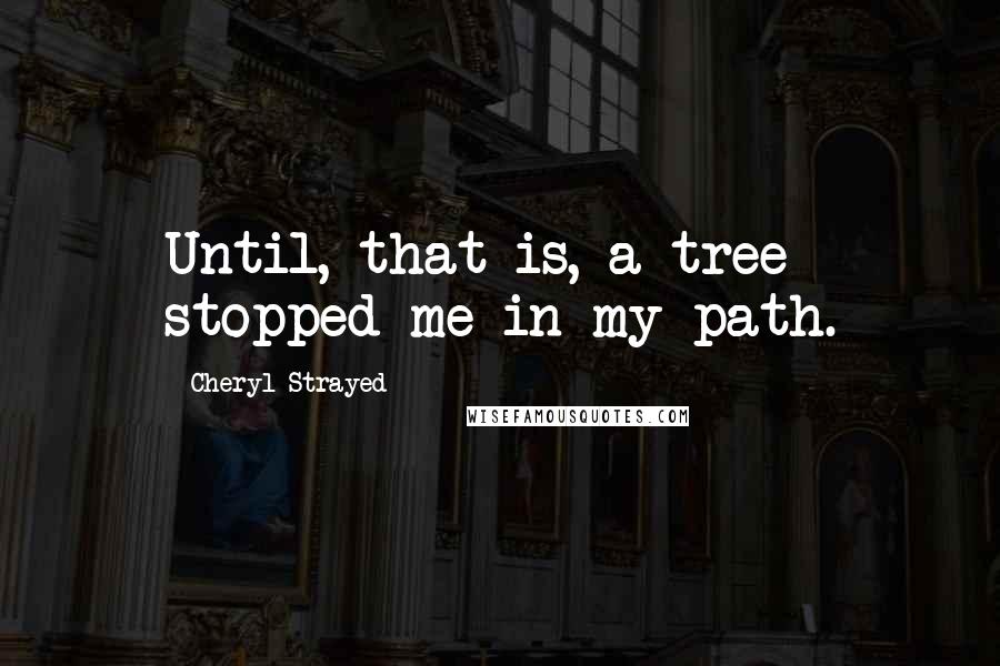 Cheryl Strayed Quotes: Until, that is, a tree stopped me in my path.