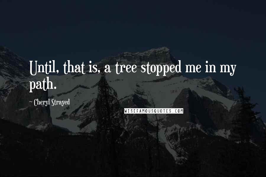 Cheryl Strayed Quotes: Until, that is, a tree stopped me in my path.