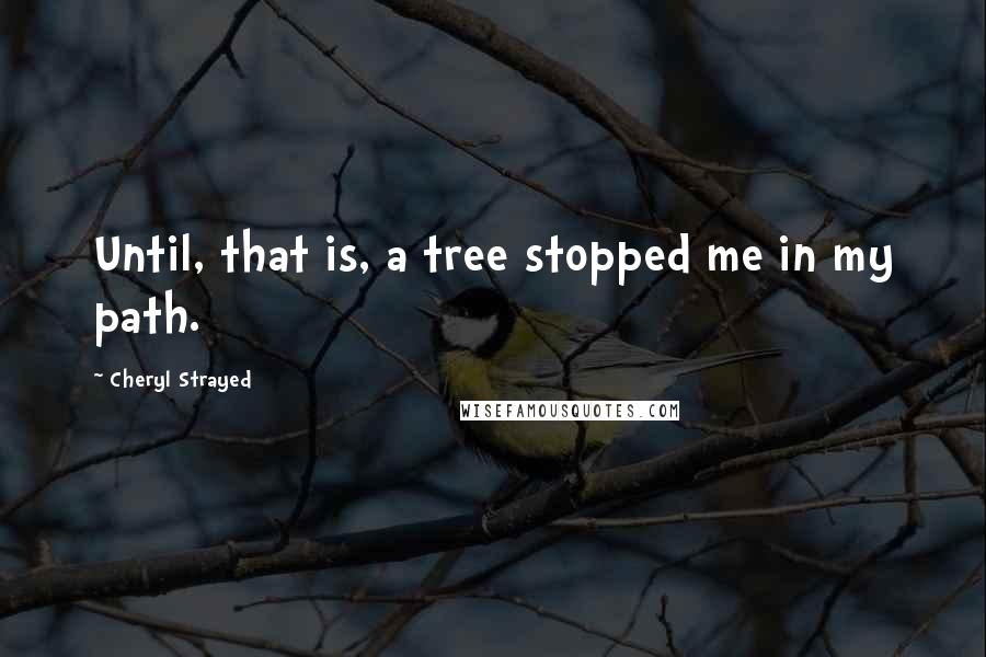 Cheryl Strayed Quotes: Until, that is, a tree stopped me in my path.