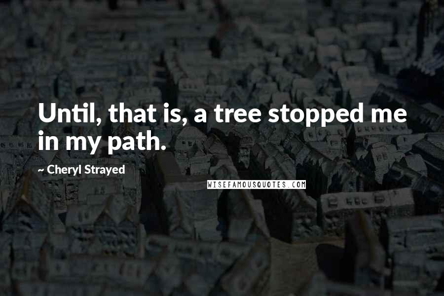 Cheryl Strayed Quotes: Until, that is, a tree stopped me in my path.