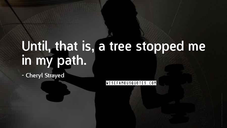 Cheryl Strayed Quotes: Until, that is, a tree stopped me in my path.