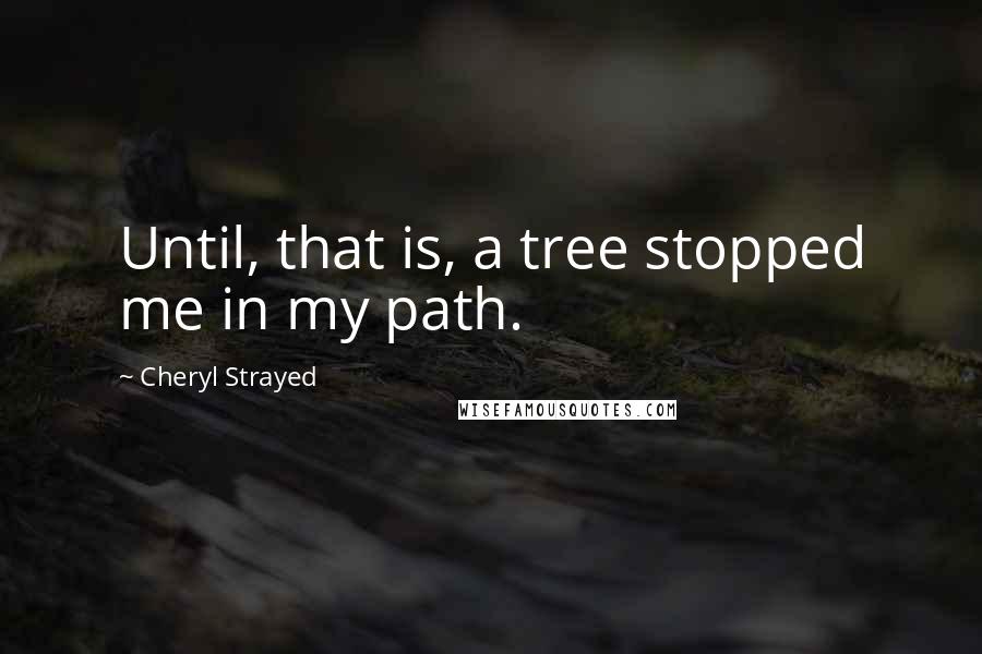 Cheryl Strayed Quotes: Until, that is, a tree stopped me in my path.