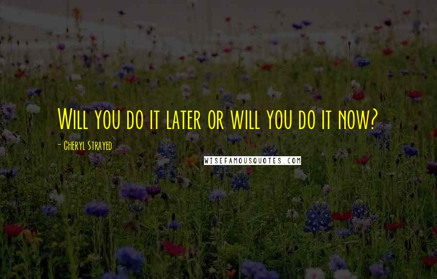 Cheryl Strayed Quotes: Will you do it later or will you do it now?