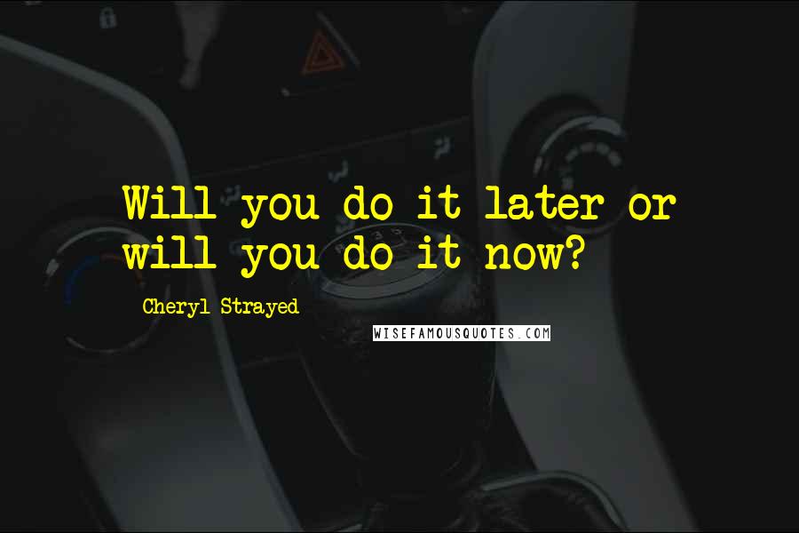 Cheryl Strayed Quotes: Will you do it later or will you do it now?