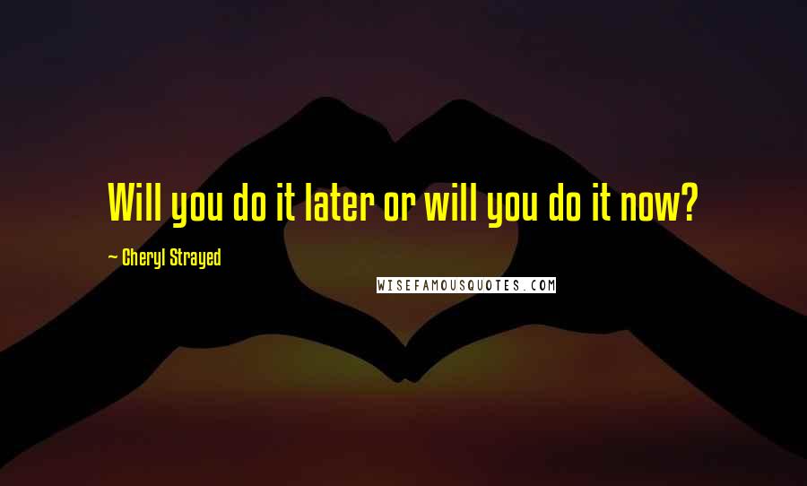 Cheryl Strayed Quotes: Will you do it later or will you do it now?