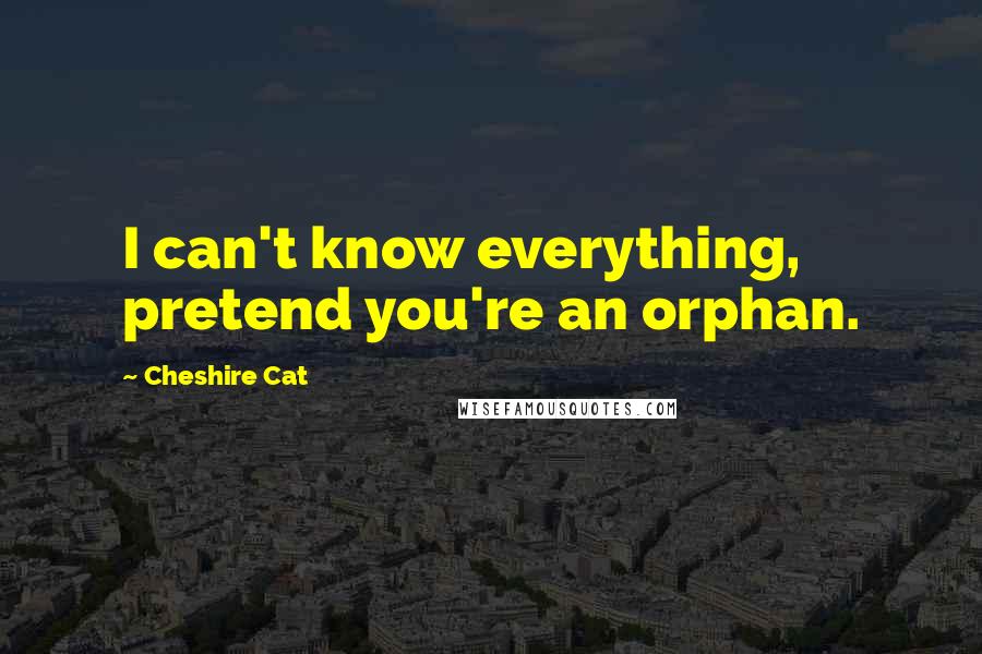 Cheshire Cat Quotes: I can't know everything, pretend you're an orphan.