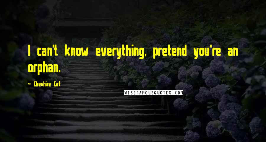 Cheshire Cat Quotes: I can't know everything, pretend you're an orphan.