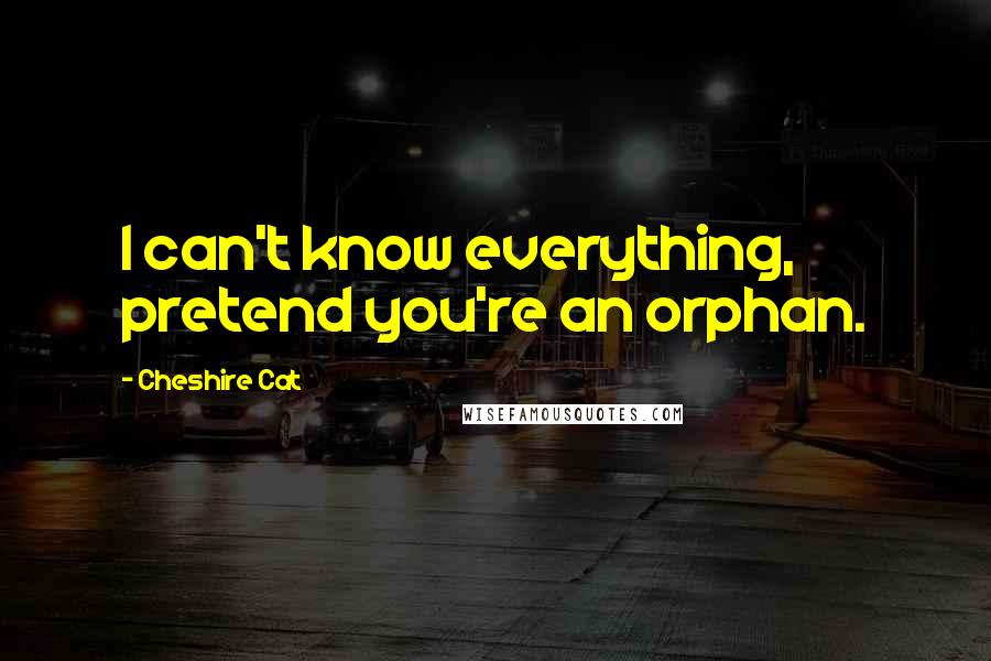 Cheshire Cat Quotes: I can't know everything, pretend you're an orphan.